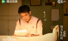 纯真年代的爱情